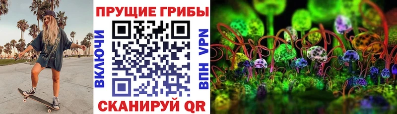 Псилоцибиновые грибы MAGIC MUSHROOMS  где найти наркотики  блэк спрут маркетплейс  Кедровый 